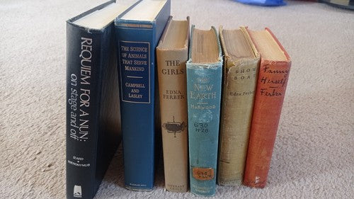 Lot of 24 Old Hardcover Books for Library Decor