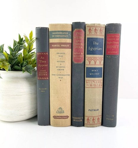 Lot of 24 Old Hardcover Books for Library Decor