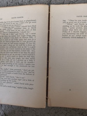 David Harum by Edward Noyes Westcott 1898 Antique Vintage