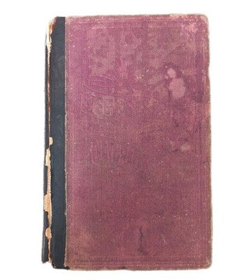 Fourteen Weeks in Natural Philosophy by J. Dorman Steele 1876 antique