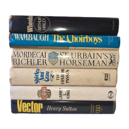 Lot of 6 Vintage Fiction Literature Novels - all Hardcover with Dust Jacket