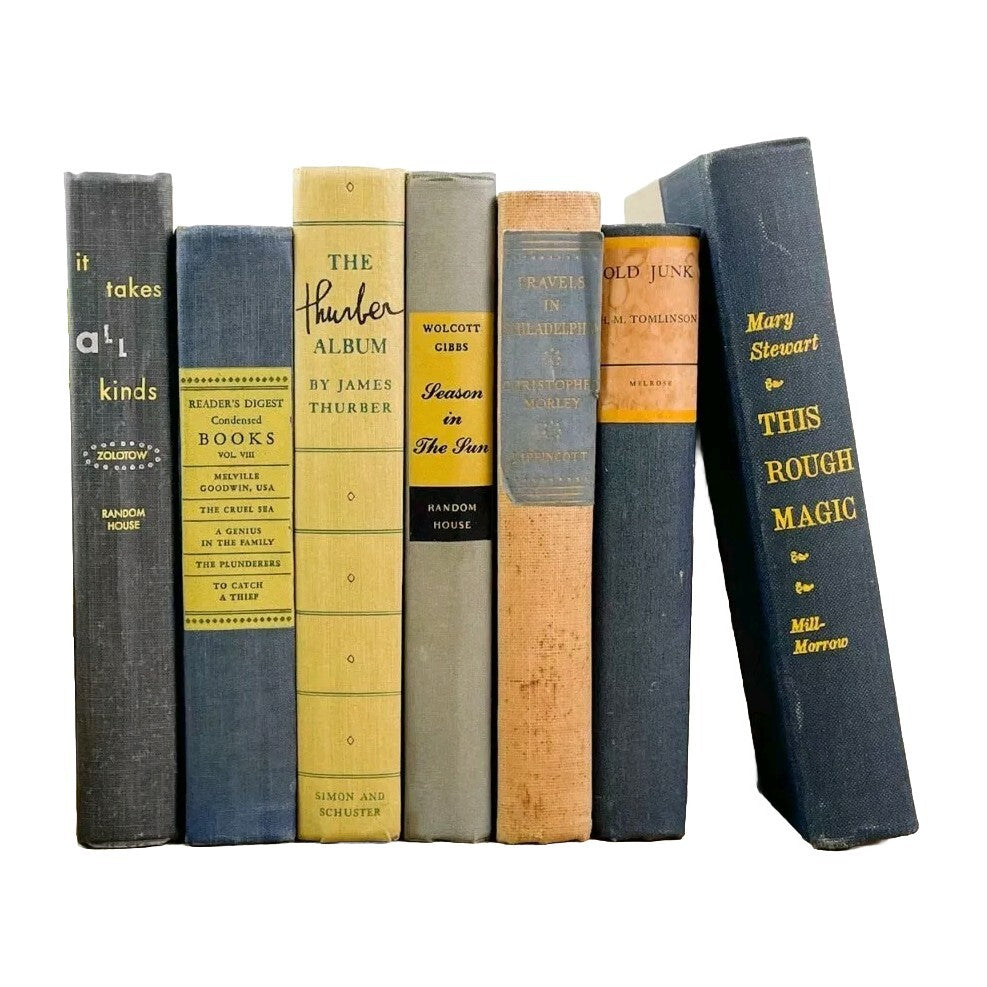 Decoration Old Vintage Books - receive 9 Hardcover Beautiful Books