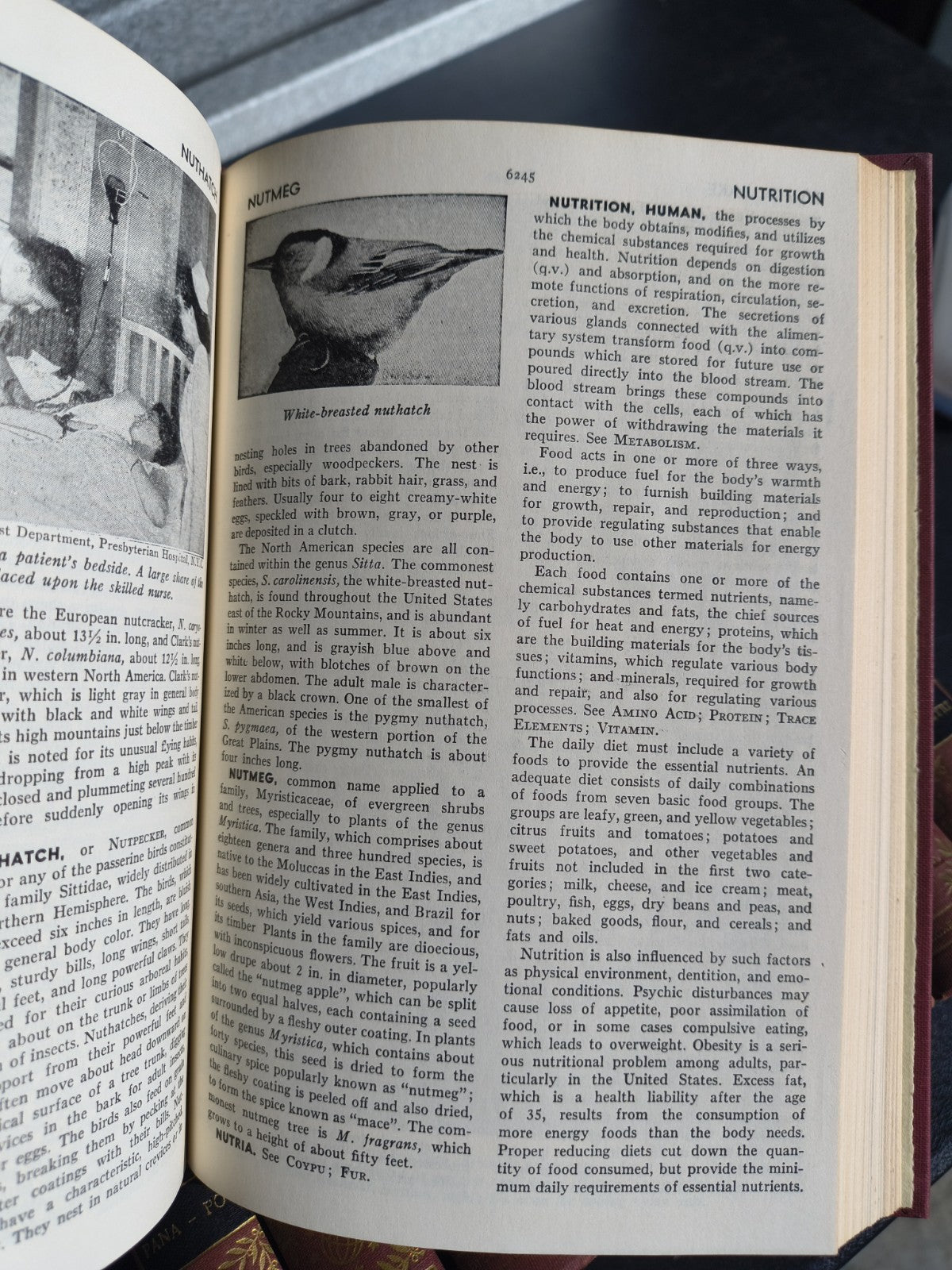 Universal Standard Encyclopedia 1955-1969 Hardcover Deluxe Edition w/ Document