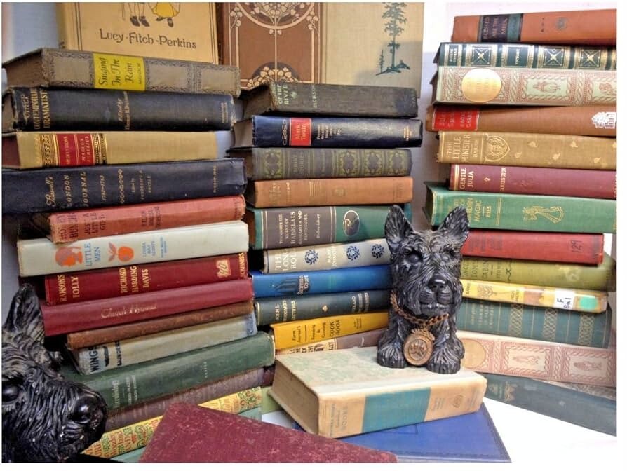 Lot of 9 Vintage Old Antique Hardcover Books - random colors